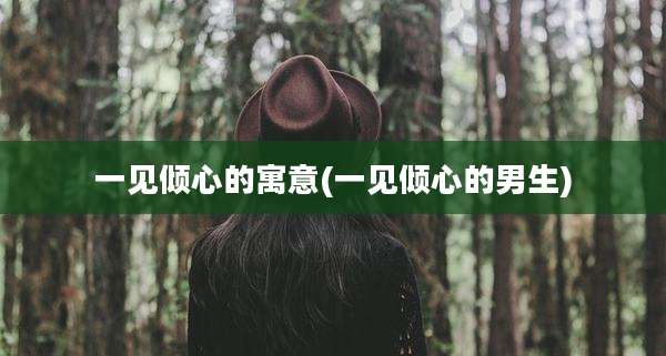 一见倾心的寓意(一见倾心的男生)
