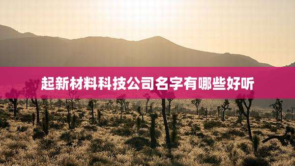 起新材料科技公司名字有哪些好听