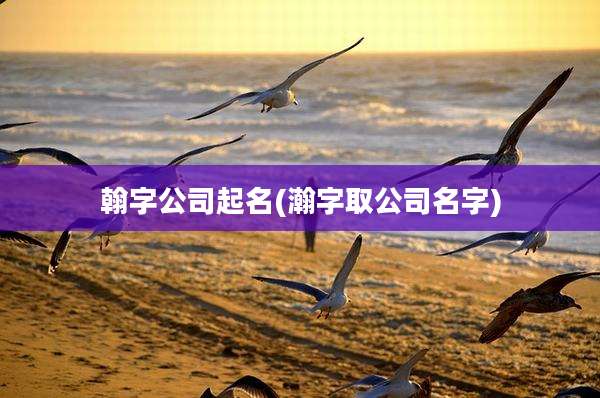 翰字公司起名(瀚字取公司名字)