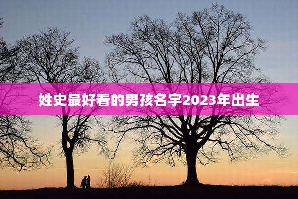 姓史最好看的男孩名字2023年出生