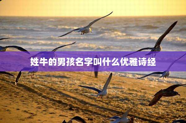 姓牛的男孩名字叫什么优雅诗经
