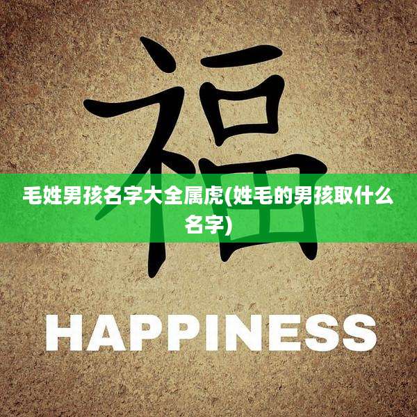 毛姓男孩名字大全属虎(姓毛的男孩取什么名字)