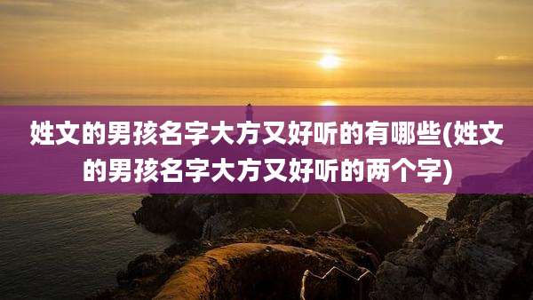 姓文的男孩名字大方又好听的有哪些(姓文的男孩名字大方又好听的两个字)