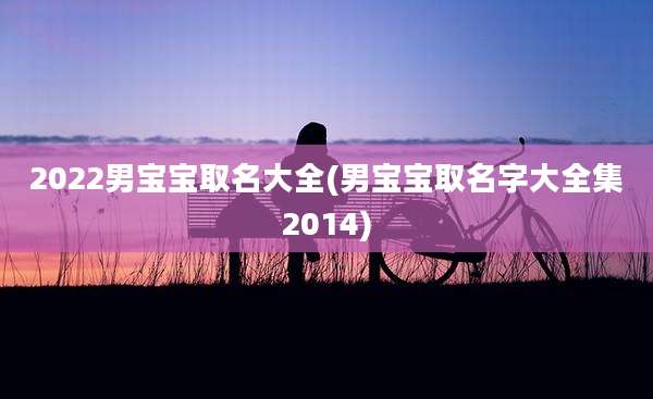 2022男宝宝取名大全(男宝宝取名字大全集2014)