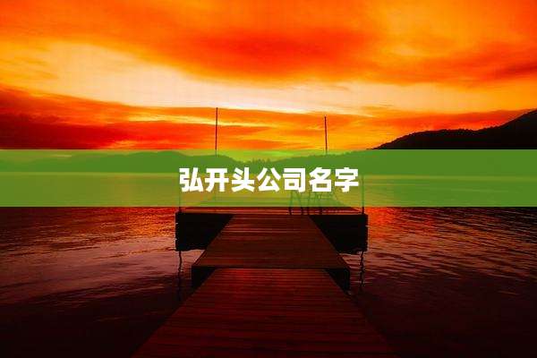 弘开头公司名字