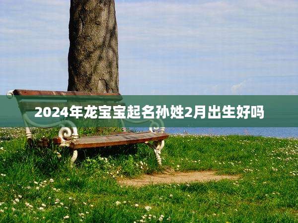 2024年龙宝宝起名孙姓2月出生好吗