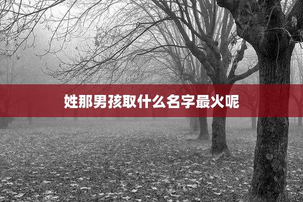 姓那男孩取什么名字最火呢