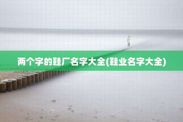 两个字的鞋厂名字大全(鞋业名字大全)