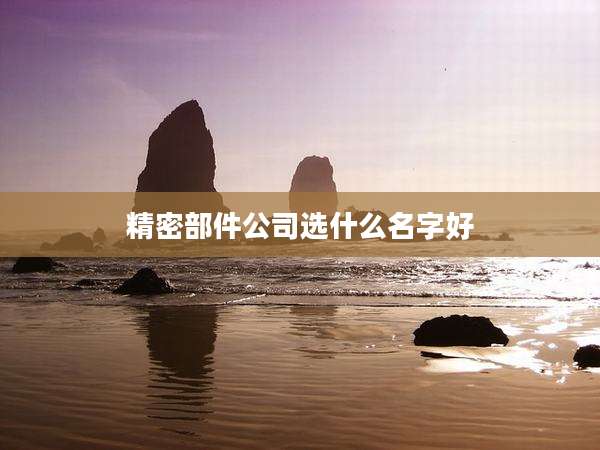 精密部件公司选什么名字好