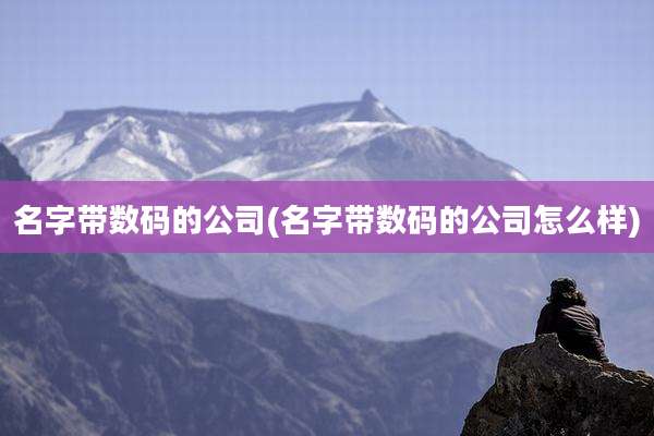 名字带数码的公司(名字带数码的公司怎么样)