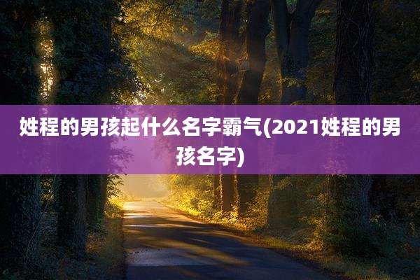 姓程的男孩起什么名字霸气(2021姓程的男孩名字)