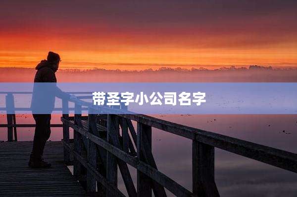 带圣字小公司名字