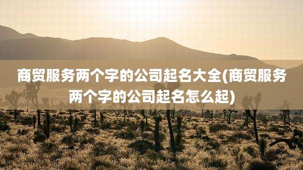 商贸服务两个字的公司起名大全(商贸服务两个字的公司起名怎么起)