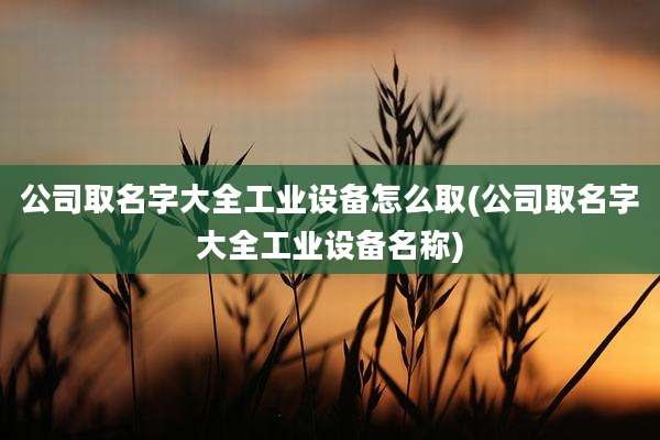 公司取名字大全工业设备怎么取(公司取名字大全工业设备名称)