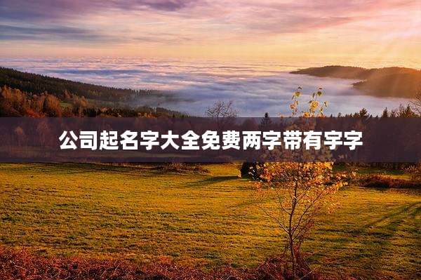 公司起名字大全免费两字带有宇字