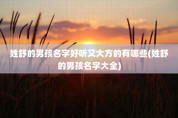 姓舒的男孩名字好听又大方的有哪些(姓舒的男孩名字大全)