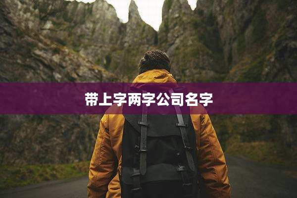 带上字两字公司名字
