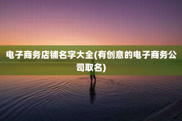 电子商务店铺名字大全(有创意的电子商务公司取名)