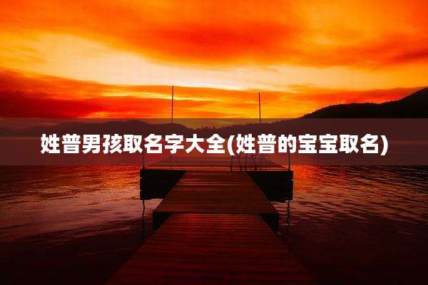 姓普男孩取名字大全(姓普的宝宝取名)