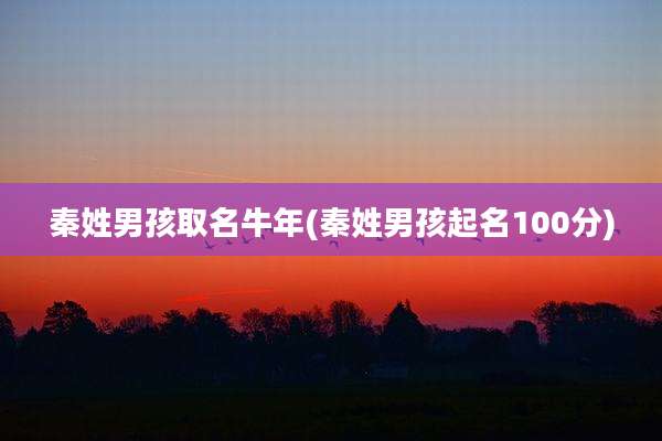 秦姓男孩取名牛年(秦姓男孩起名100分)