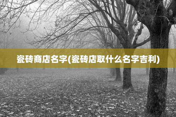瓷砖商店名字(瓷砖店取什么名字吉利)