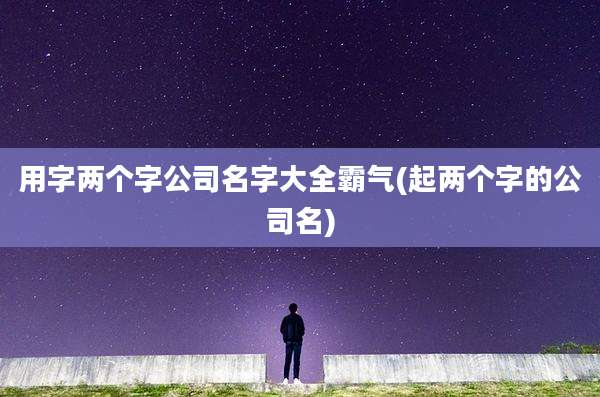 用字两个字公司名字大全霸气(起两个字的公司名)