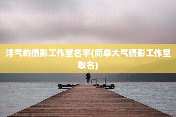洋气的摄影工作室名字(简单大气摄影工作室取名)