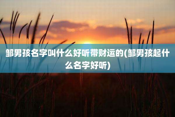 邹男孩名字叫什么好听带财运的(邹男孩起什么名字好听)