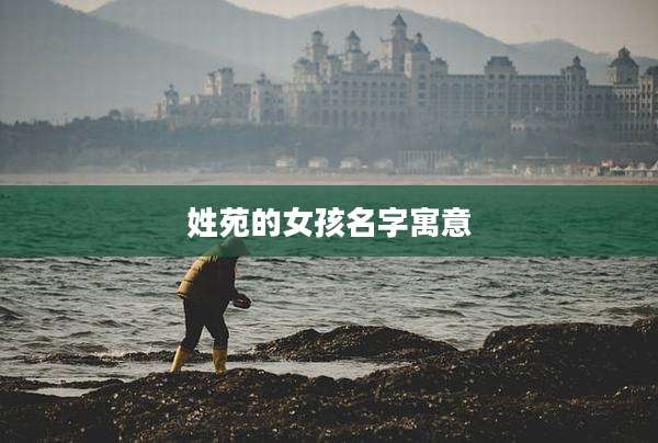 姓苑的女孩名字寓意