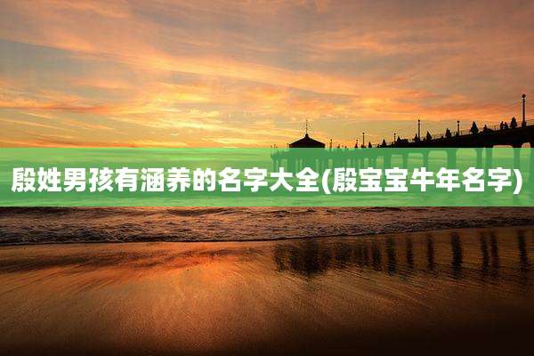殷姓男孩有涵养的名字大全(殷宝宝牛年名字)