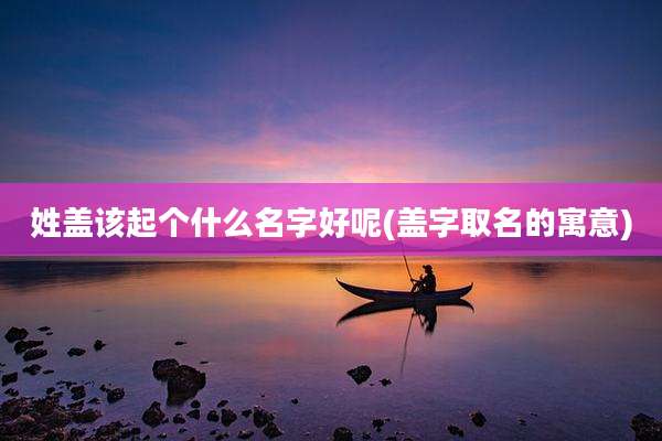 姓盖该起个什么名字好呢(盖字取名的寓意)