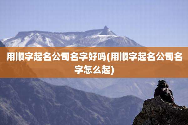 用顺字起名公司名字好吗(用顺字起名公司名字怎么起)