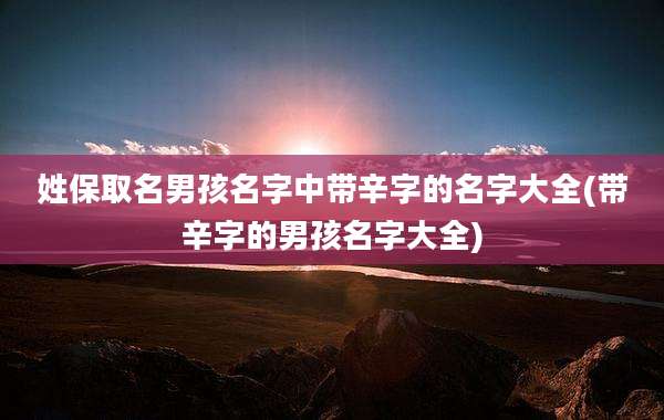 姓保取名男孩名字中带辛字的名字大全(带辛字的男孩名字大全)