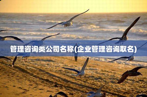 管理咨询类公司名称(企业管理咨询取名)