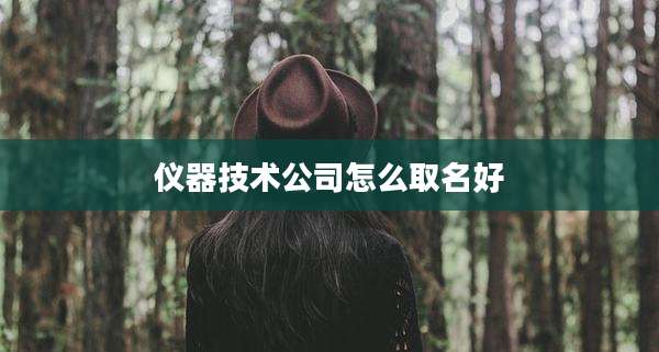 仪器技术公司怎么取名好