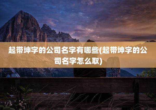 起带坤字的公司名字有哪些(起带坤字的公司名字怎么取)