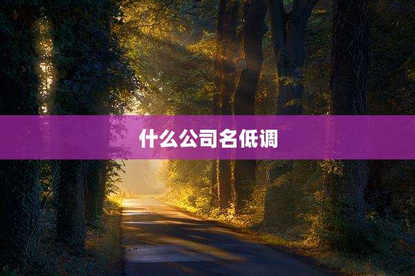 什么公司名低调