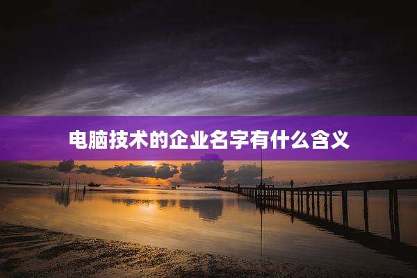 电脑技术的企业名字有什么含义