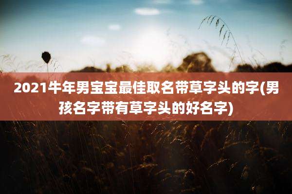 2021牛年男宝宝最佳取名带草字头的字(男孩名字带有草字头的好名字)