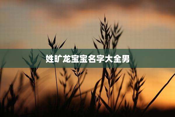 姓旷龙宝宝名字大全男
