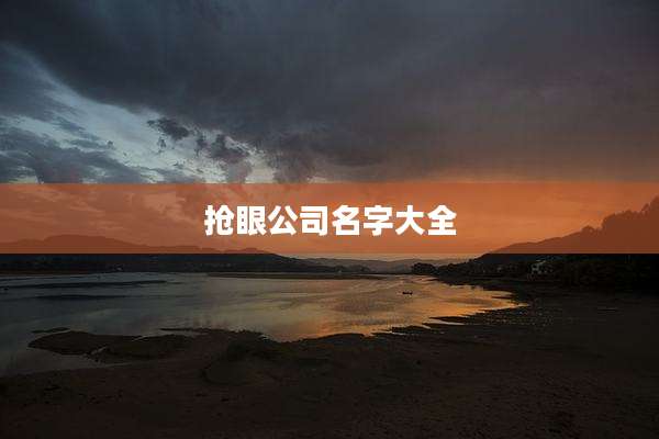 抢眼公司名字大全