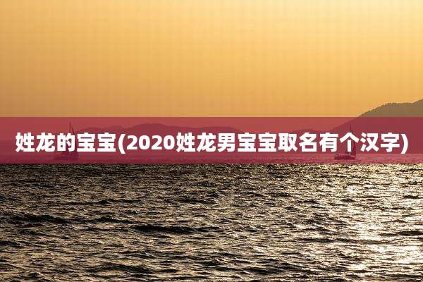 姓龙的宝宝(2020姓龙男宝宝取名有个汉字)