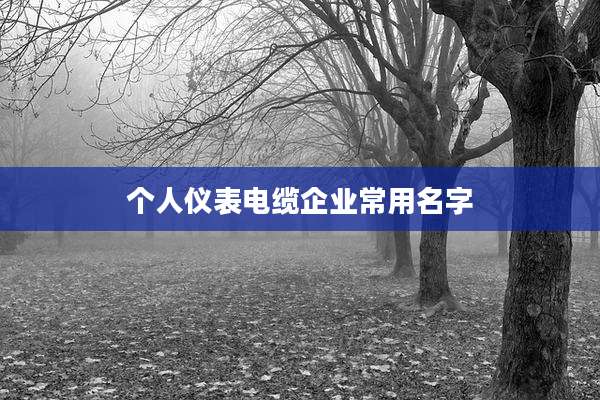 个人仪表电缆企业常用名字