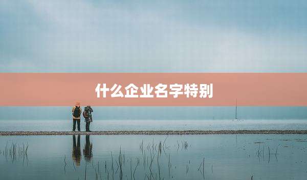 什么企业名字特别