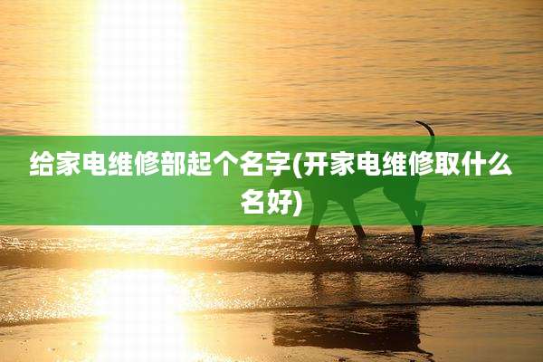 给家电维修部起个名字(开家电维修取什么名好)