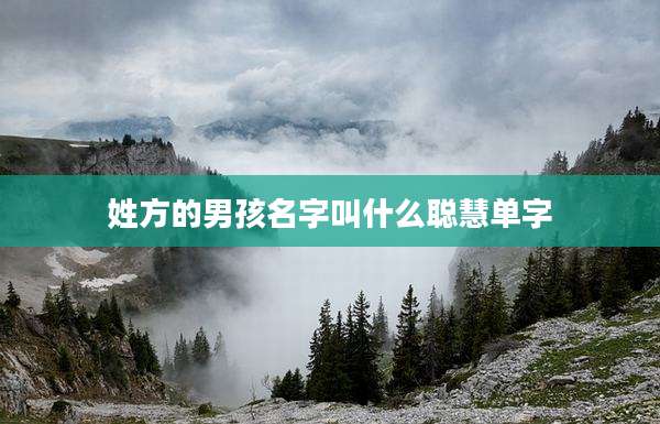 姓方的男孩名字叫什么聪慧单字