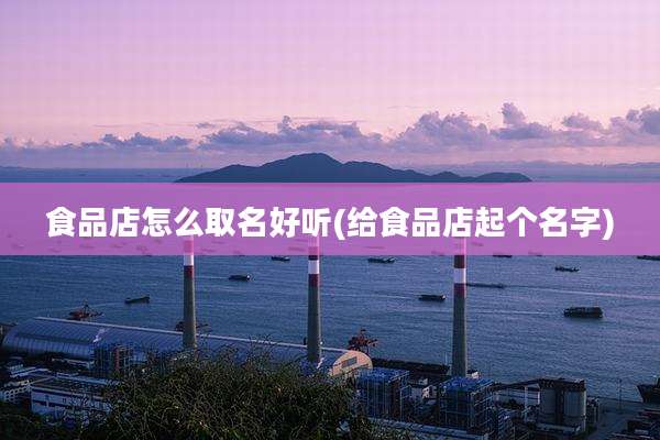 食品店怎么取名好听(给食品店起个名字)