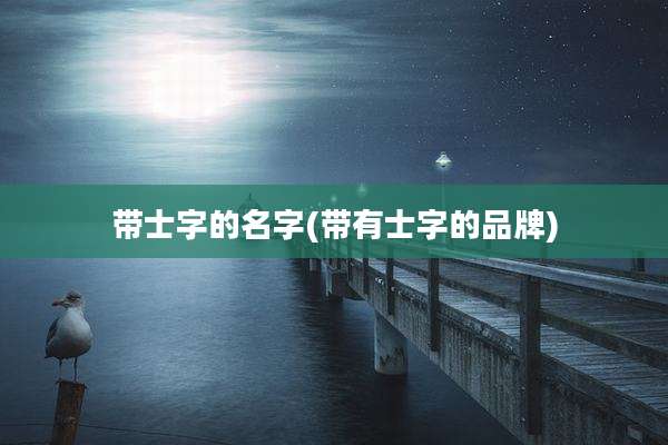 带士字的名字(带有士字的品牌)