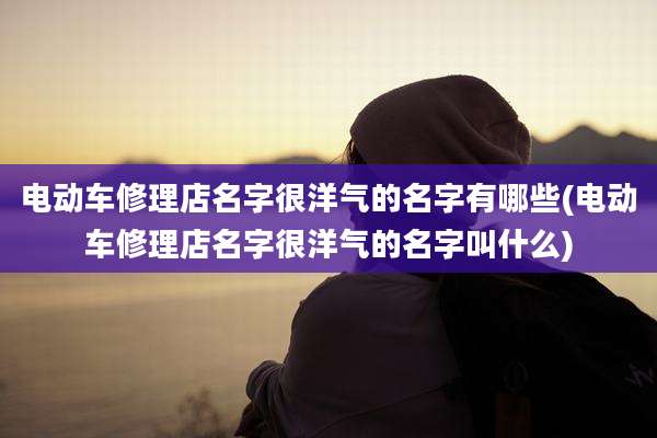 电动车修理店名字很洋气的名字有哪些(电动车修理店名字很洋气的名字叫什么)
