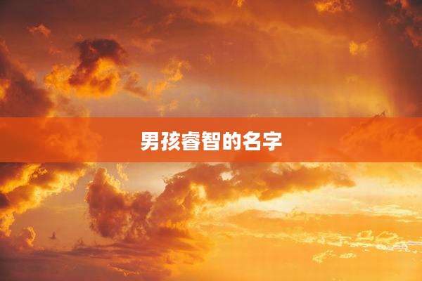 男孩睿智的名字